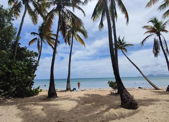 Tikazamour - Bienvenue Chez Vous * Le Diamant