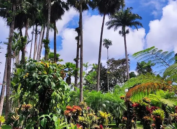 Tikazamour - Bienvenue Chez Vous Le Diamant